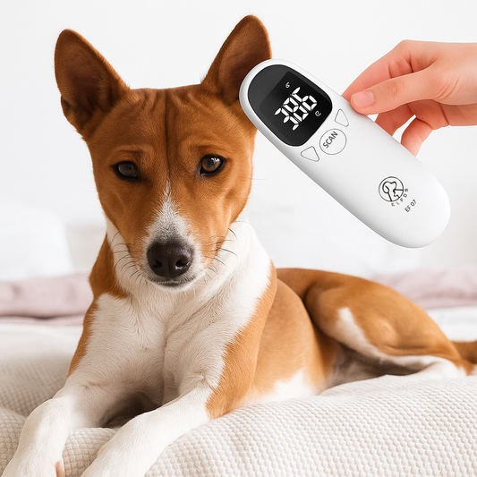Dog Thermometer