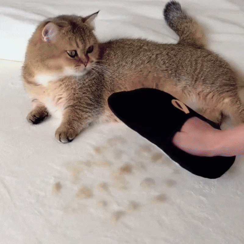 Pet Hair Removal Gloves