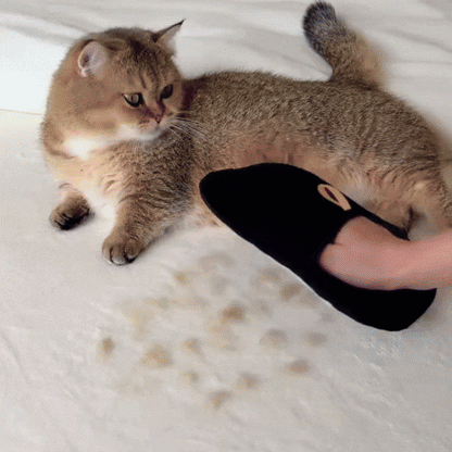 Pet Hair Removal Gloves