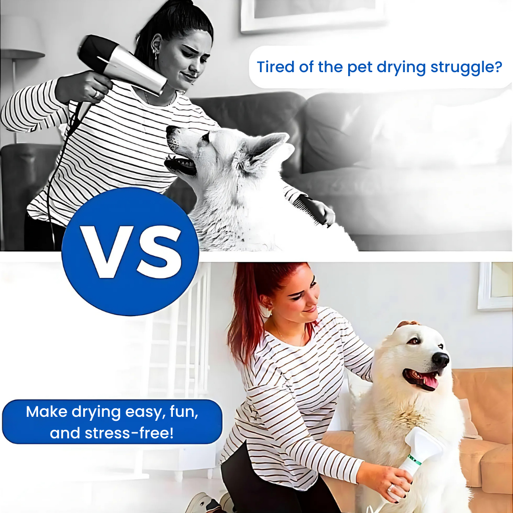 Pet Hair Dryer with Slicker Brush